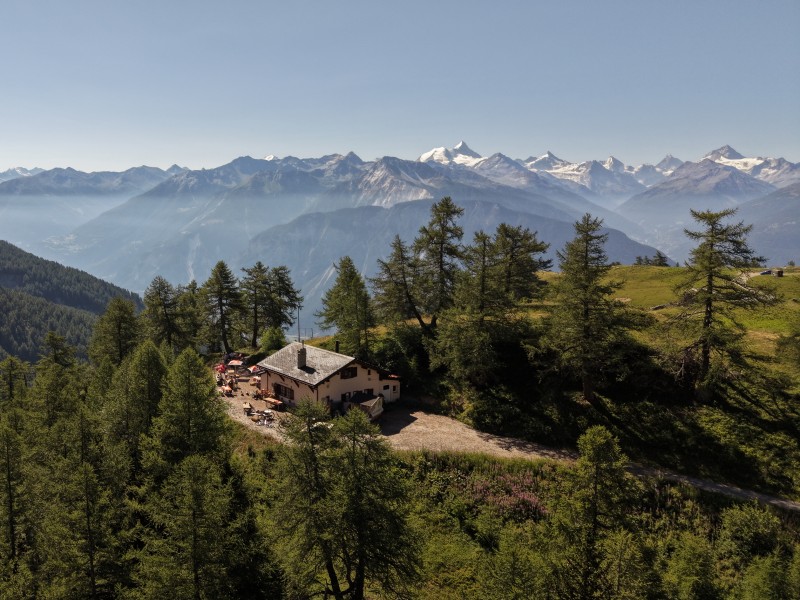 La Cabane de la Tièche au milieu des mélèzes, face aux Alpes valaisannes